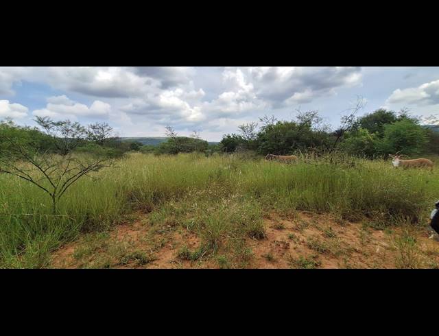 272HA FARM FOR SALE IN KOSTER